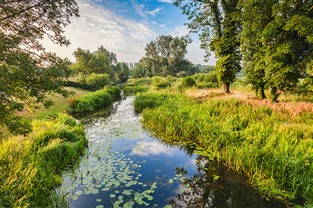 Constable Country & East Anglia